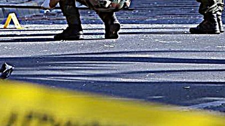 cats_LkubOsT.width-750