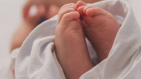 vrefos-1-1024x683_ID_1446313