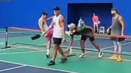 pickleball-art (1)