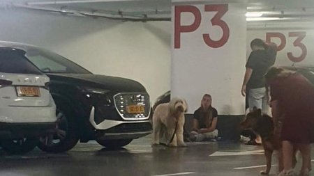 telaviv-01-xrwma (1)