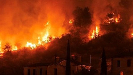 524046474_10230264507417150_8379894372505406210_n