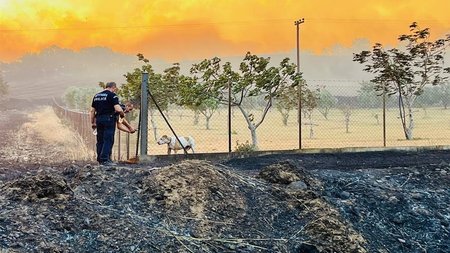 875_5a8f26fc-1f8d-4b4f-9de7-5788f674662f