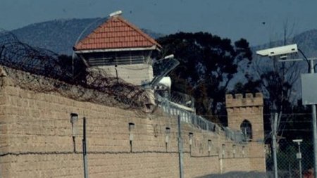 cats_OGDnvYt.width-750