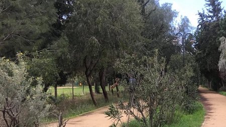 ΠΑΡΚΟ