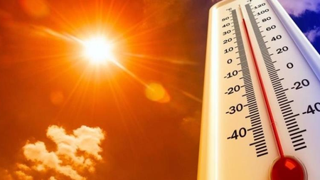 4d1c28db-eb03-4ce5-a75a-171440a4978a.jpg