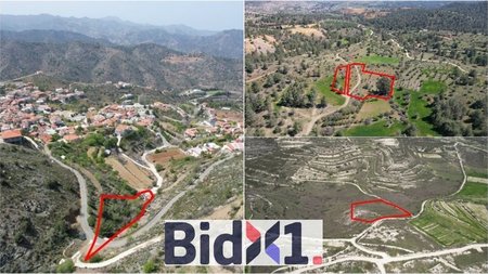BIDX1