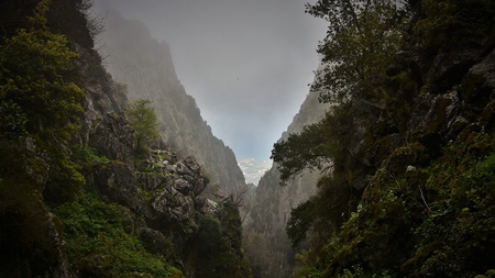750f4bf4-8639-44ee-a557-1e31acd6b0cc.jpg