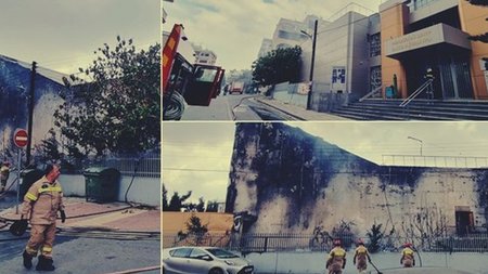 cats_vo6C2gM.width-750