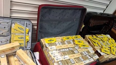 520245934_1167076578793594_4296693586183715623_n