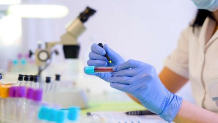 karkinos3_ID_1628495-768x505