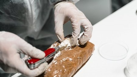 pexels-mart-production-7230833-1024x682