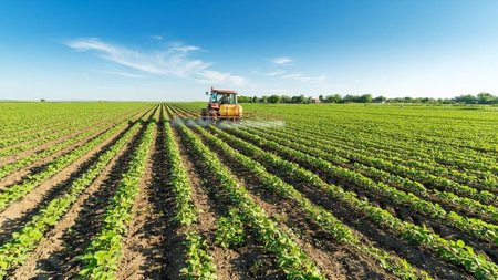 dc36b0e6-7f68-4008-99f9-1b2169bd0a92_agrotis-xorafi0