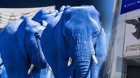 4462331756239105_6767