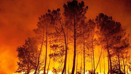 2022-08-12T121641Z_264387076_RC2XUV9IY5YP_RTRMADP_5_EUROPE-WEATHER-FRANCE-EMISSIONS