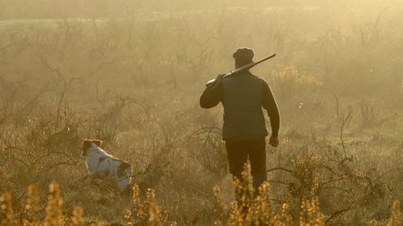 shutterstock_7699786