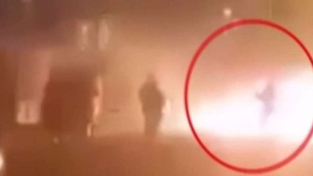 cats_jNDtyYk.width-750