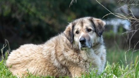 cache_980x637_Crop_medium_585933_253296_23_01_26_192013