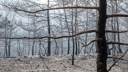 DOC.20250724.8797065.kamenigilemesos2