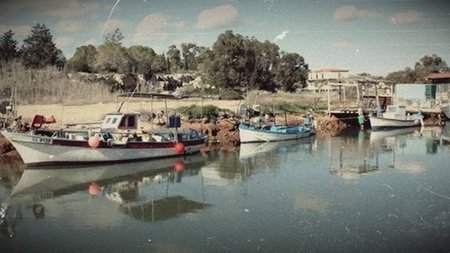 cats_fleguh1.width-750.width-750