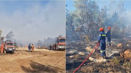 page_YxElNuk.width-750