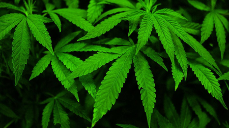 3445f8fa-74ec-4e6f-9109-c370844e76df.jpg