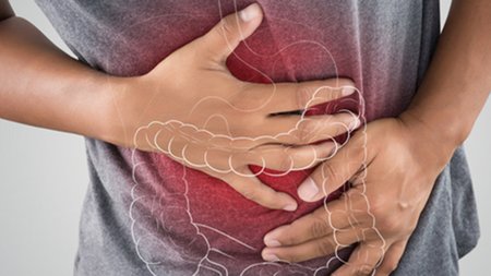 shutterstock_1080392243