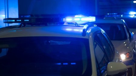 cats_CRTV13F.width-750