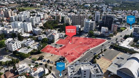 ALTAMIRA1