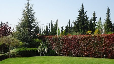 96419854_2831324070299534_3807411035283914752_n-2-1200x600