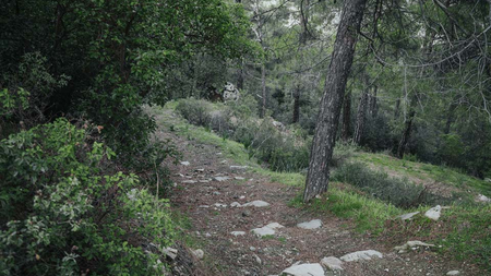 09719625-fb04-4ca8-9559-cb4887581648.jpg