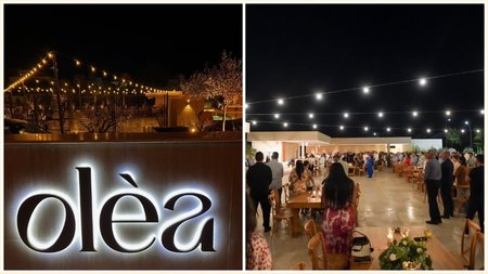 Olea