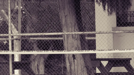 Screenshot-2025-04-28-092956-1068x493