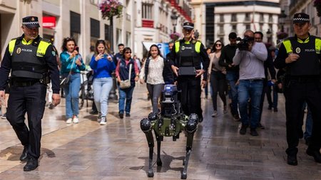 875_5cab6422-cf08-4fa9-b2fe-dd731483ec6b