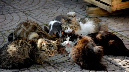 cache_1500x3000_Analog_medium_1693033_189857_642023