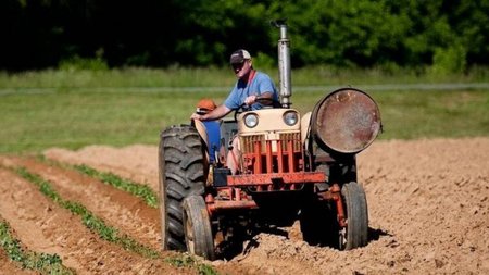 agrotes-5-768x5761-1