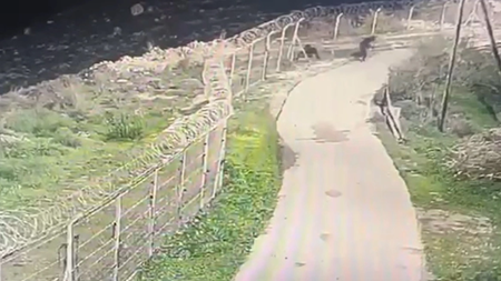 MixCollage-13-Jan-2024-02-23-AM-4427