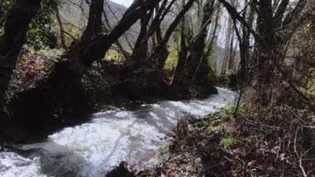 1264587196-01333-31833