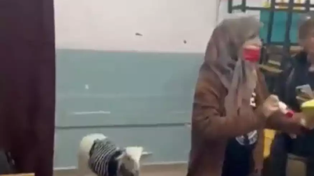 c1ee20ee-b113-4045-a1b1-40aa51a26751