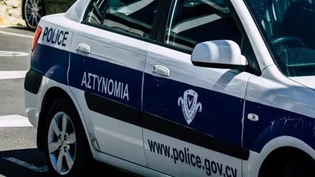 cats_Hl7CqRw.width-750