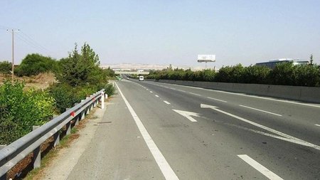 cats574888.width-750