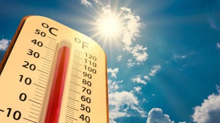 f7a19683a7fcacdbec6a84cb8ce42650