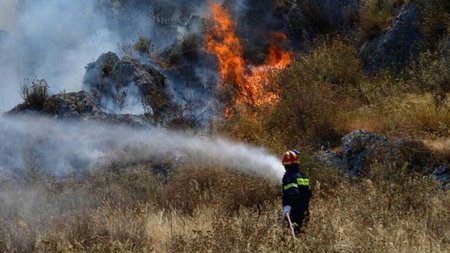 dasiki-pyrkagia-768x461