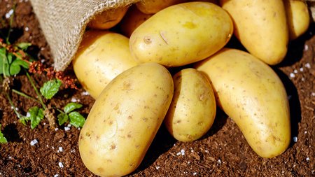 potatoes