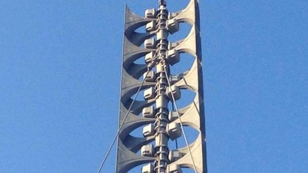 cats_vtn2xvy.width-750