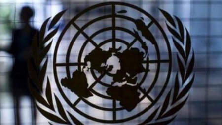 thumb__800_0_0_0_auto