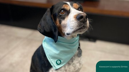 kawacomsdog