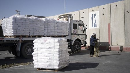 5ce50802-bc47-4074-97a2-45120df738ee_anthro