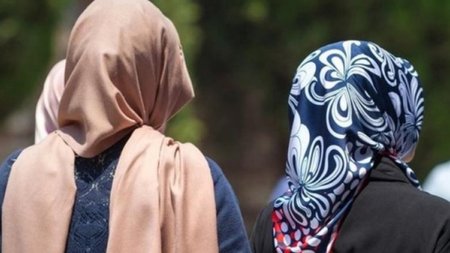 cats_tar62ed.width-750 (1)