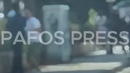 cats_OJn8bMl.width-750