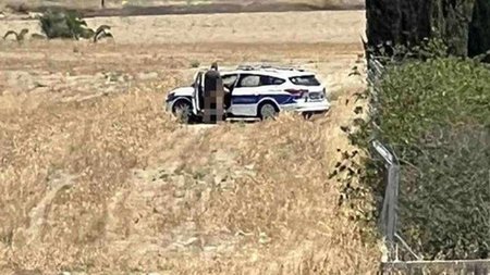 cats_AGOaHi7.width-750